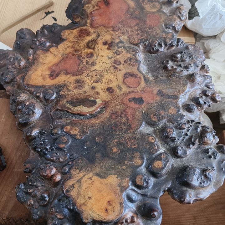 杯一单元精品日瓷一个精品日瓷