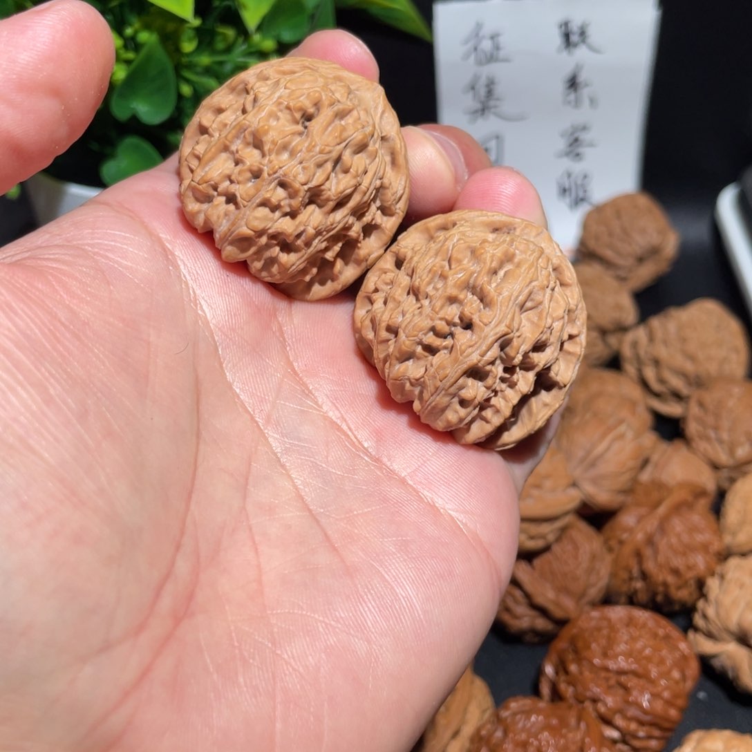 文玩核桃把件39白狮子