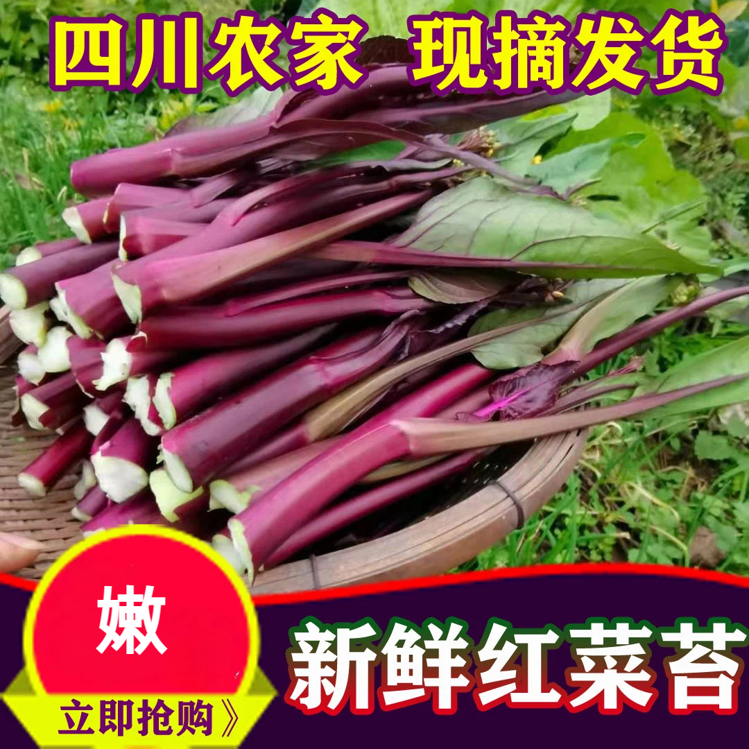 四川红油菜菜苔1斤/3斤/5斤/8斤