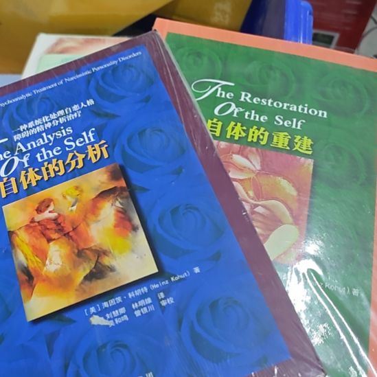 自体的分析➕自体的重建