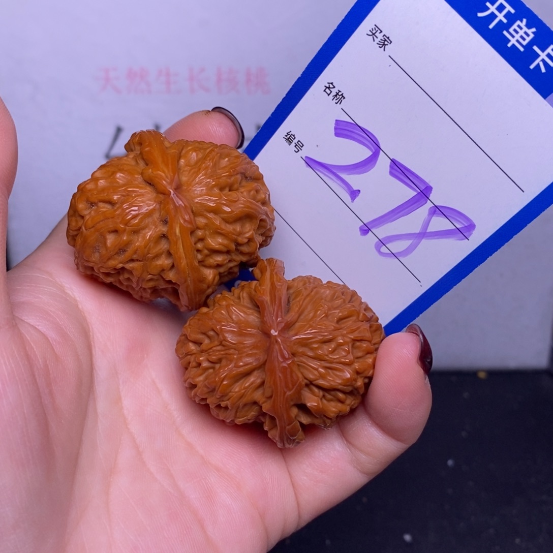把件文玩核桃278/37白狮子福利