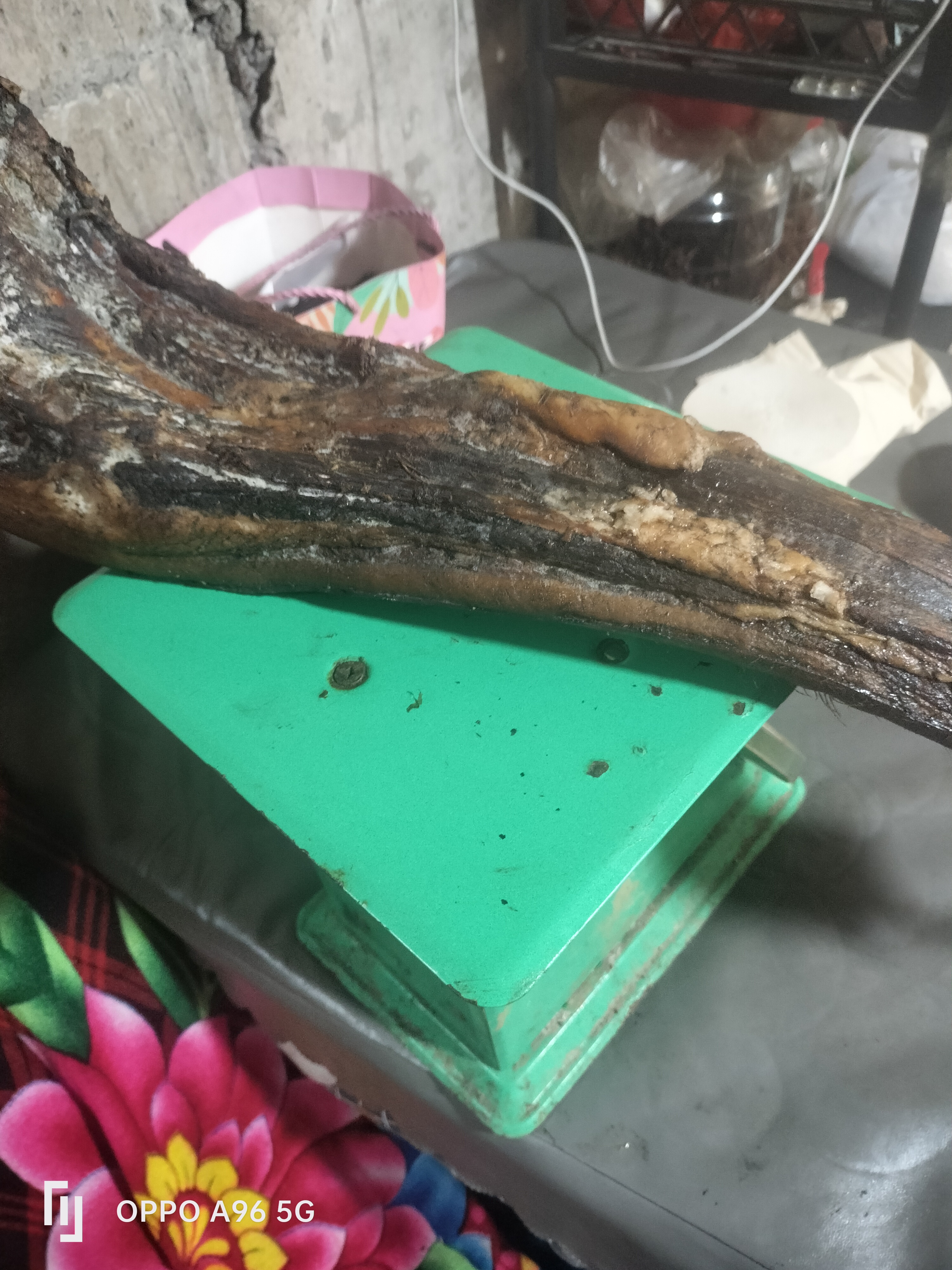 柴火烟熏腊排骨土家风味湖南特产咸香美食