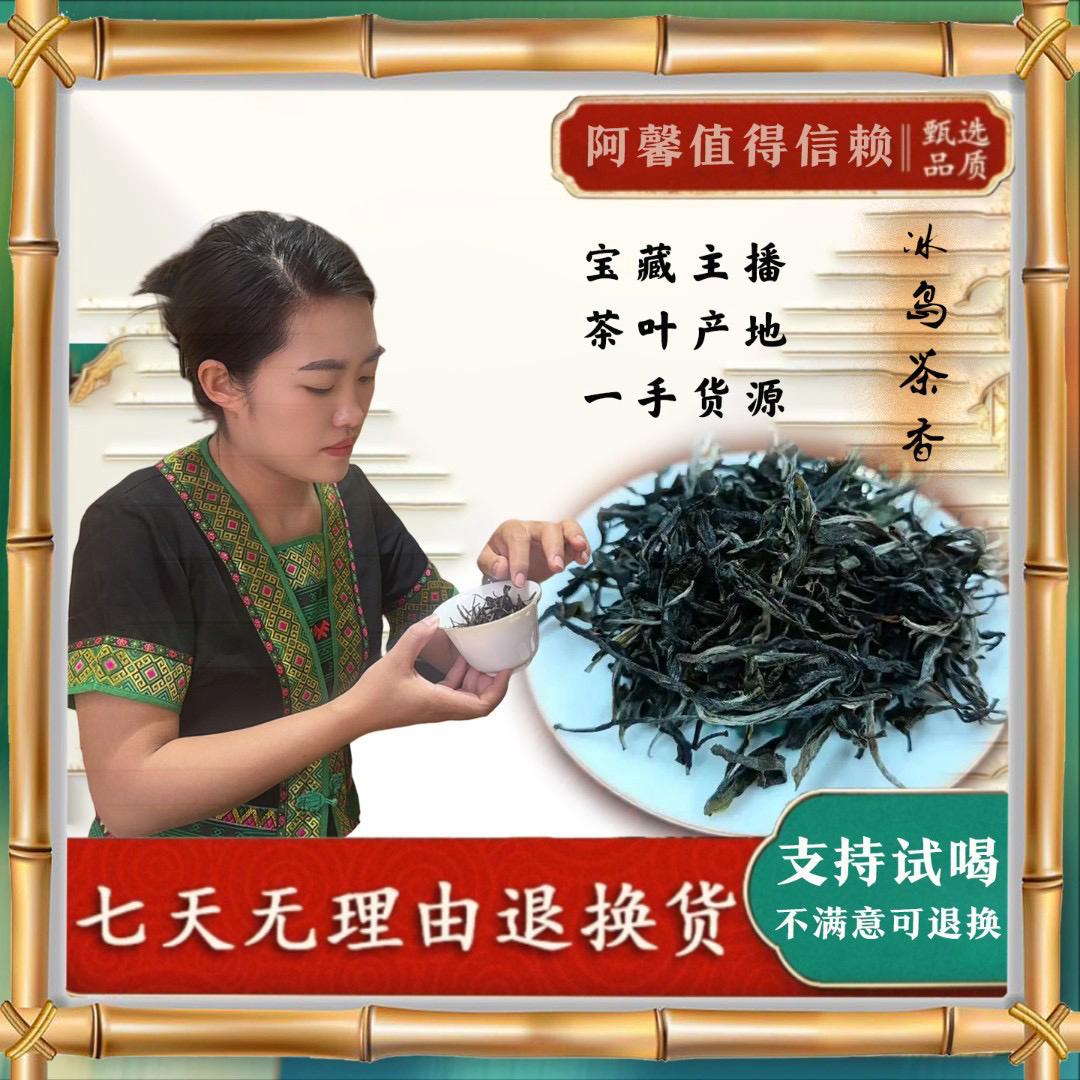 （勿拍）阿馨冰岛茶区现场收茶，所有茶叶支持试喝，有问题联系客服