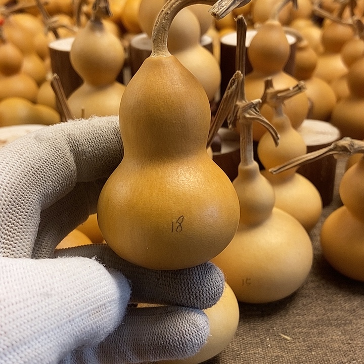 文玩葫芦 完美主义者 慎拍18