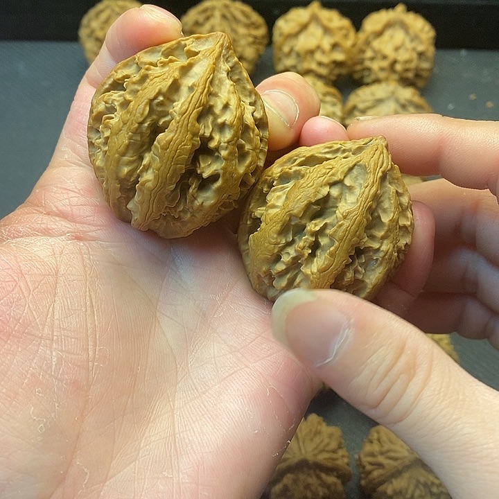 我的小姐姐们都是我