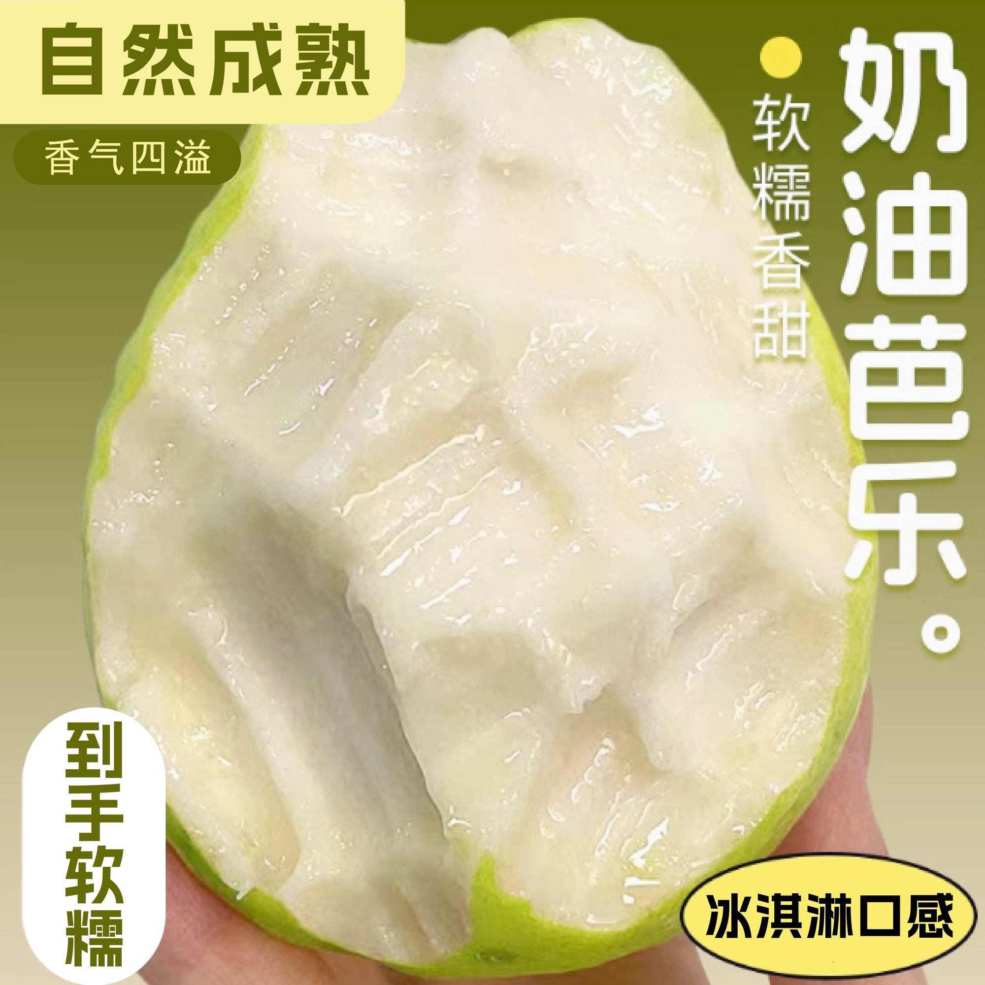 正宗白心奶油芭乐软糯香甜低糖低卡当季新鲜南方水果软心芭乐