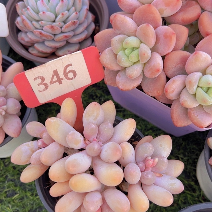 健健康康平平安安