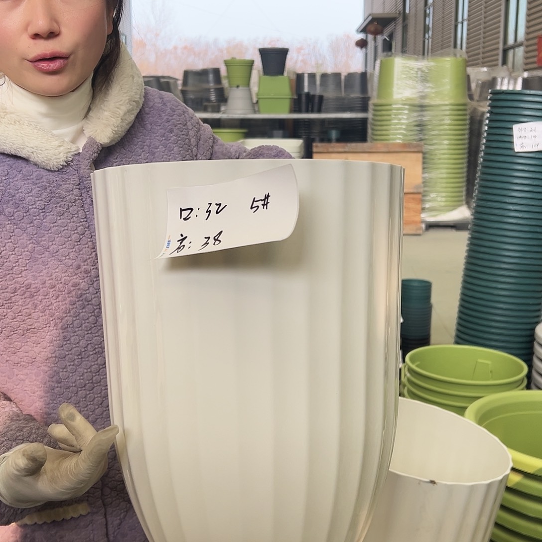 瑕疵竖纹5#白色4个无托