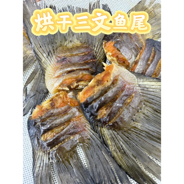 纯手工三文鱼尾宠物零食狗狗猫猫磨牙解馋清洁口腔 