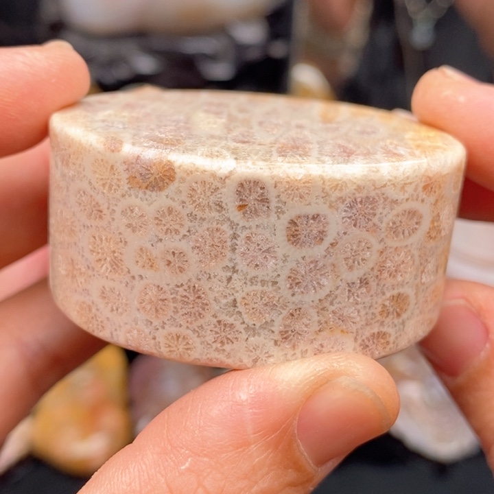 硅化珊瑚（珊瑚玉）手镯未镶嵌