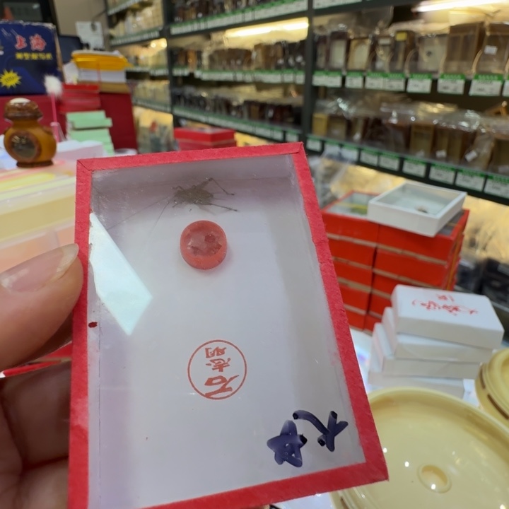 蟋蟀漂亮大个一只合适