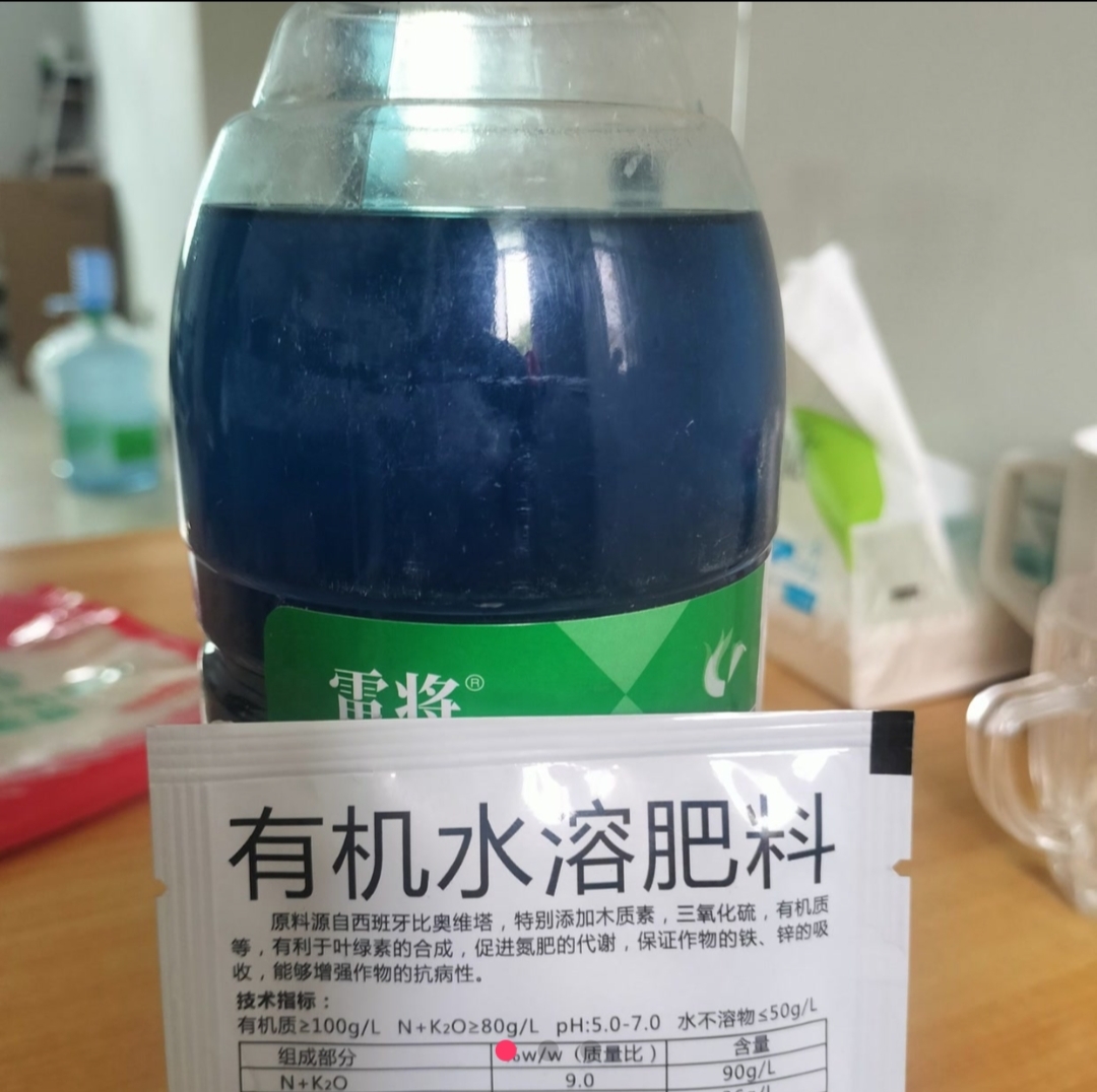 豆类辣椒行间除草