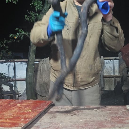 一***水无花朵山里人家金单子