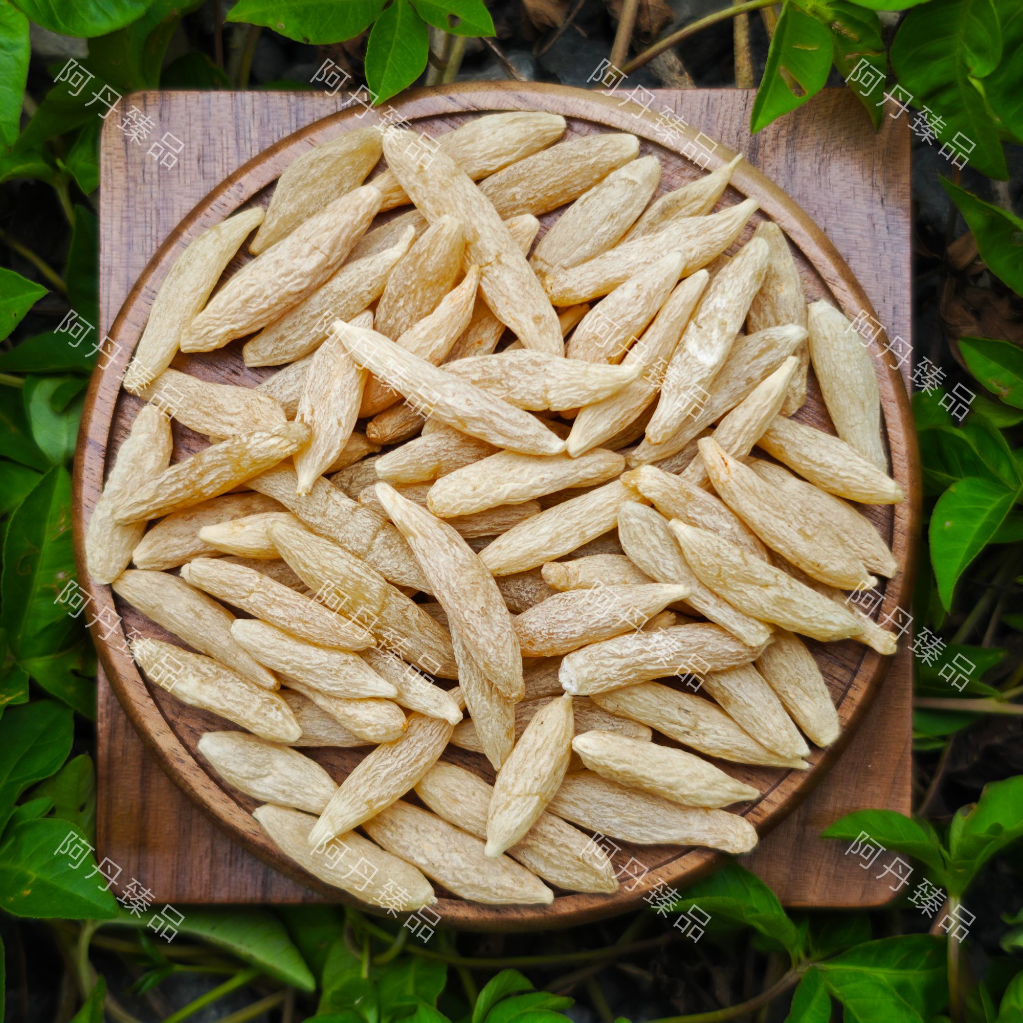 【阿丹臻品】藏麦冬 农家土特产（已开价）