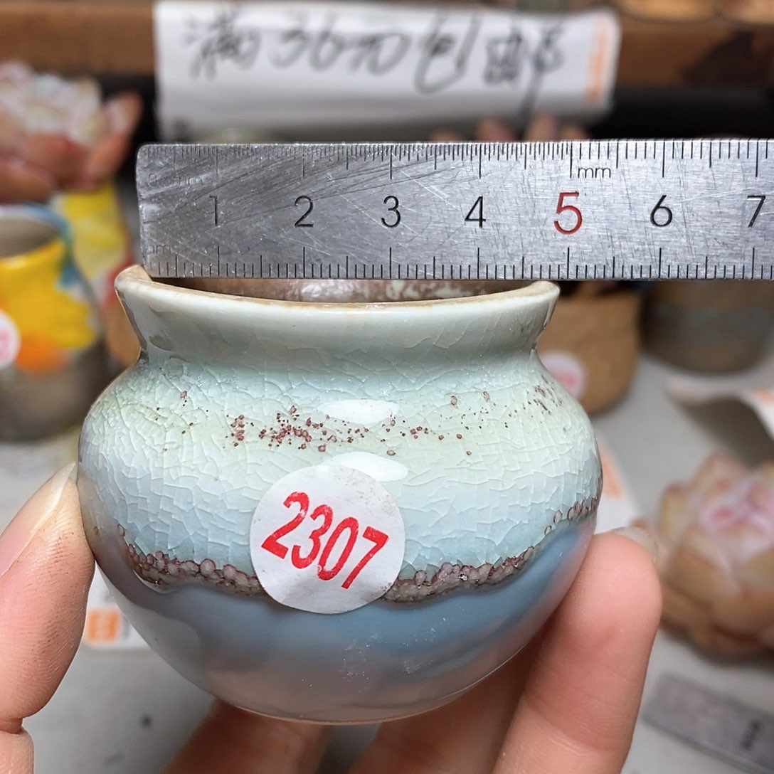 红陶拍5送一个小