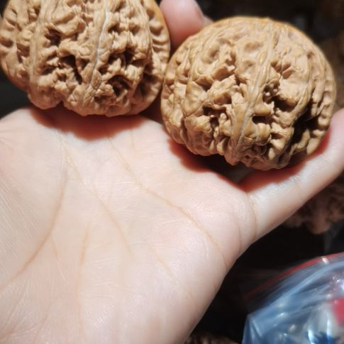 猴头核桃吊坠用****248粗筋