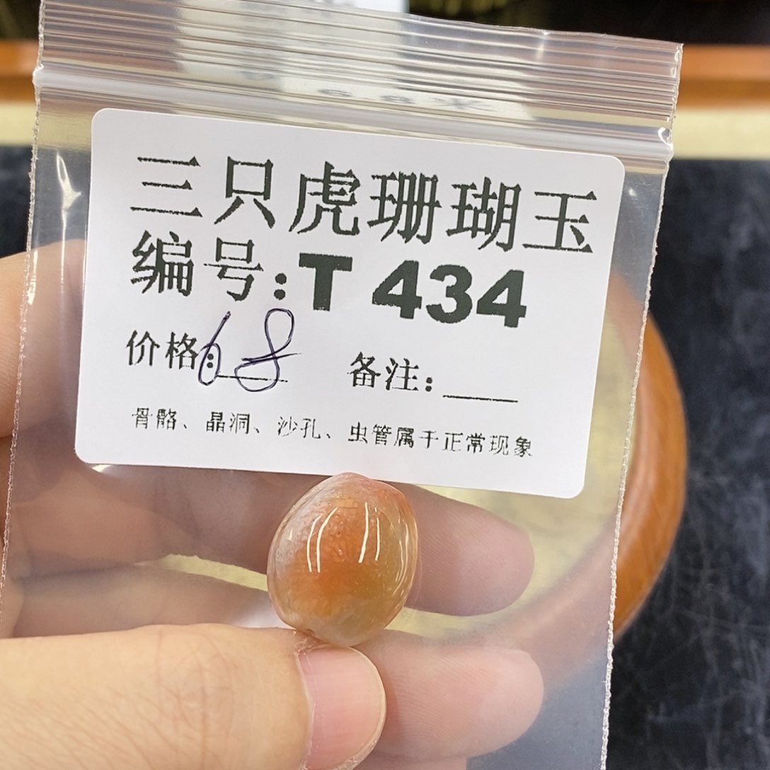 硅化珊瑚（珊瑚玉）1未镶嵌E****坞