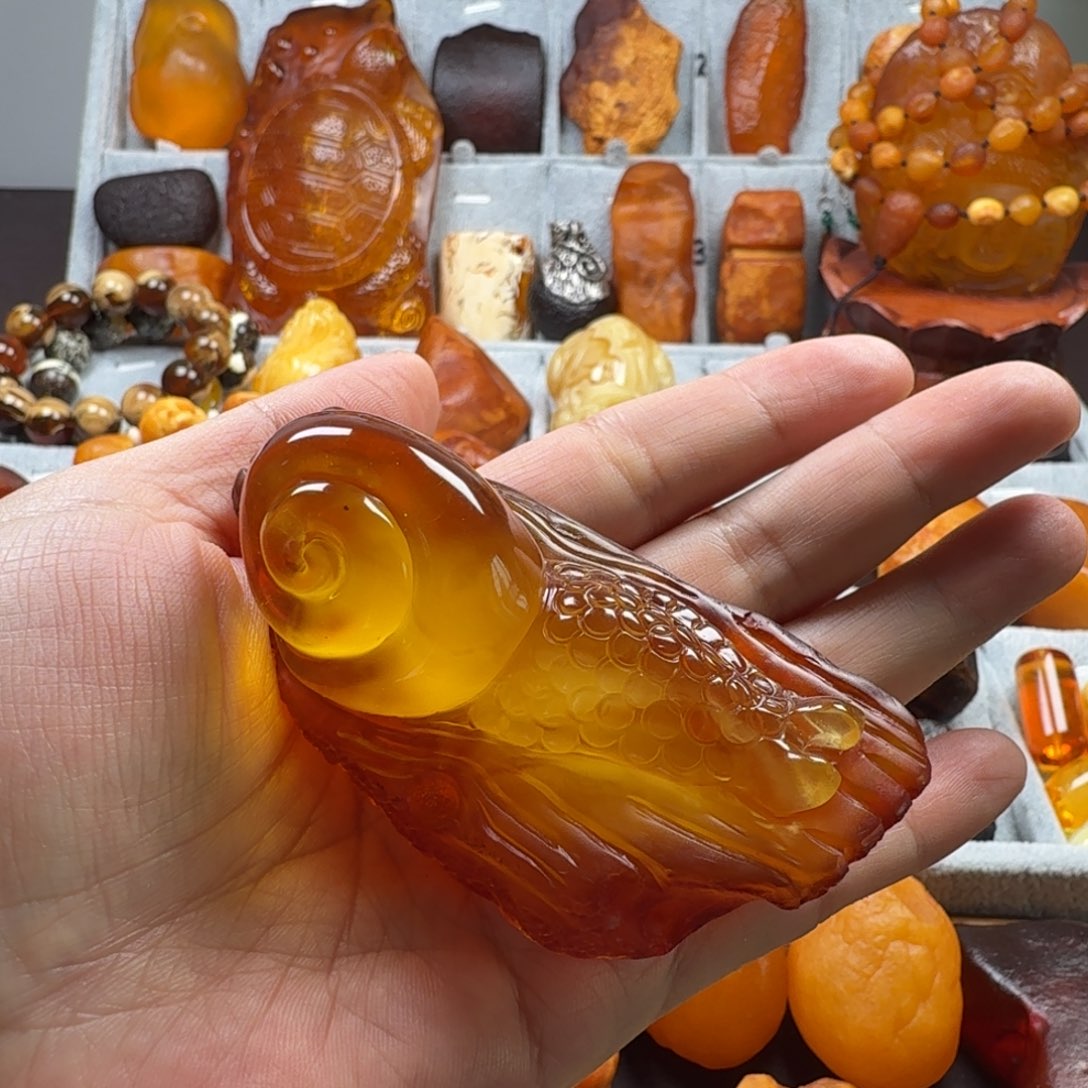 定制琥珀未镶嵌蜗牛原石