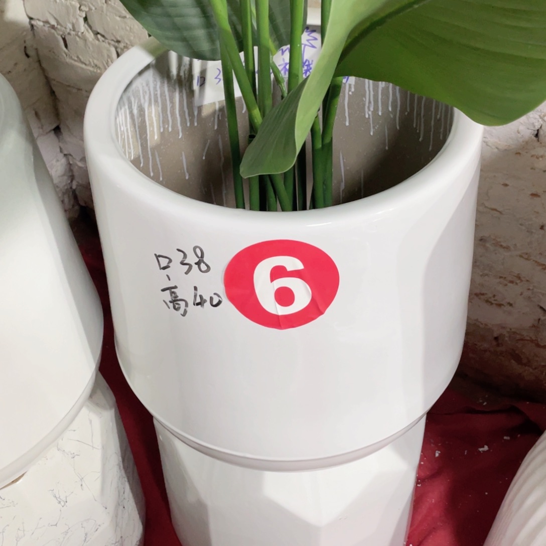 红陶大*哥6号白色特大号正常品