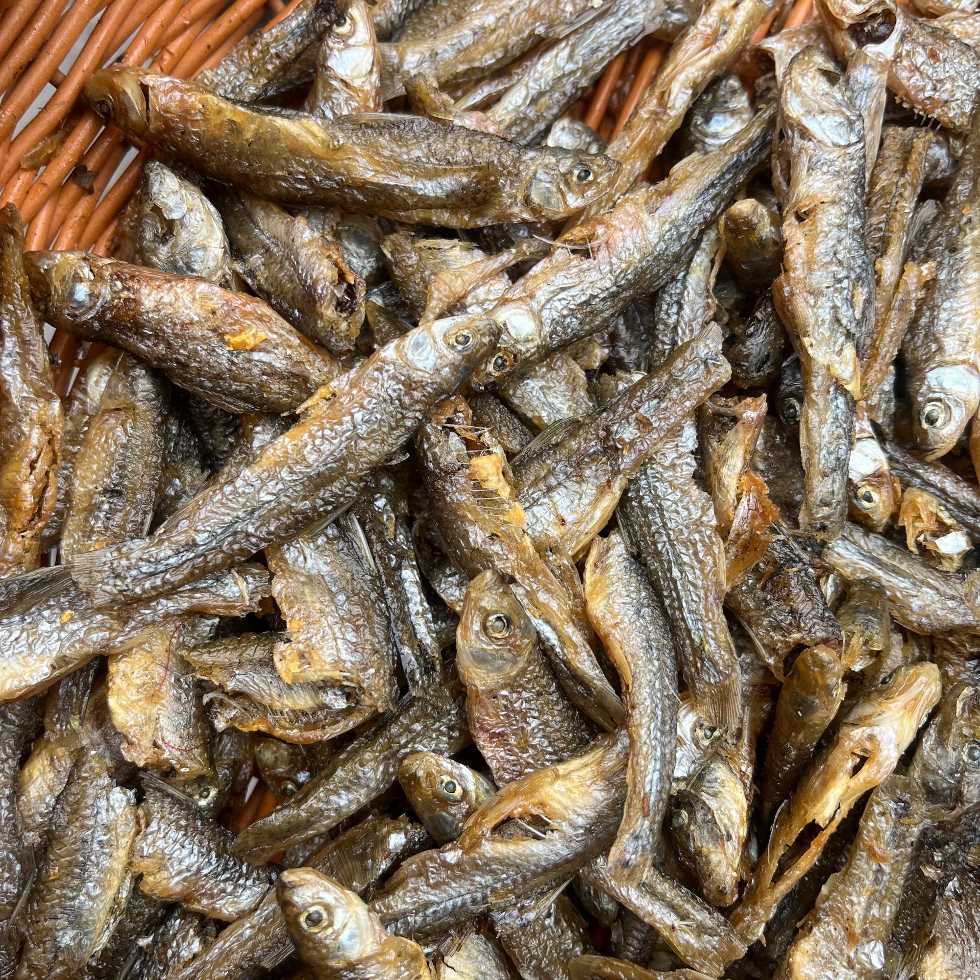 湖南城步味道生态食材水库小鱼仔