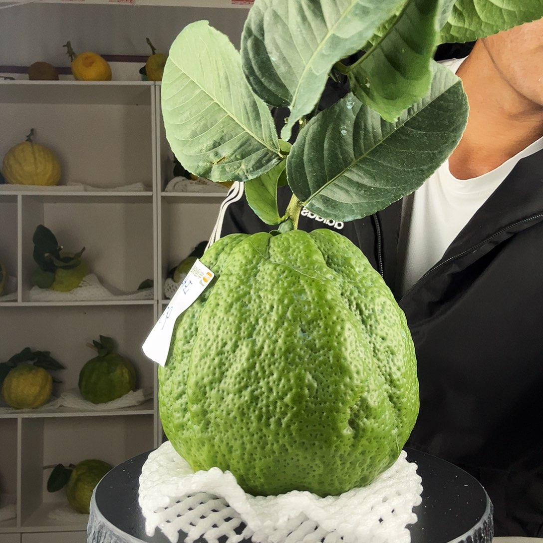 正***品香水柠檬云南高山大香橼