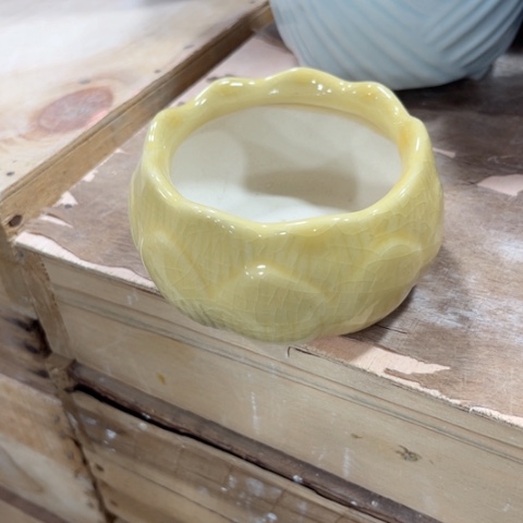 陶瓷满9元发货口径不清楚问客服谢谢