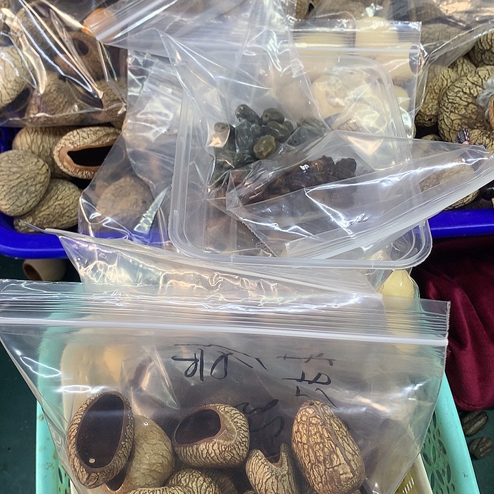 婴***宝吊坠千眼菩提龙脊果壳