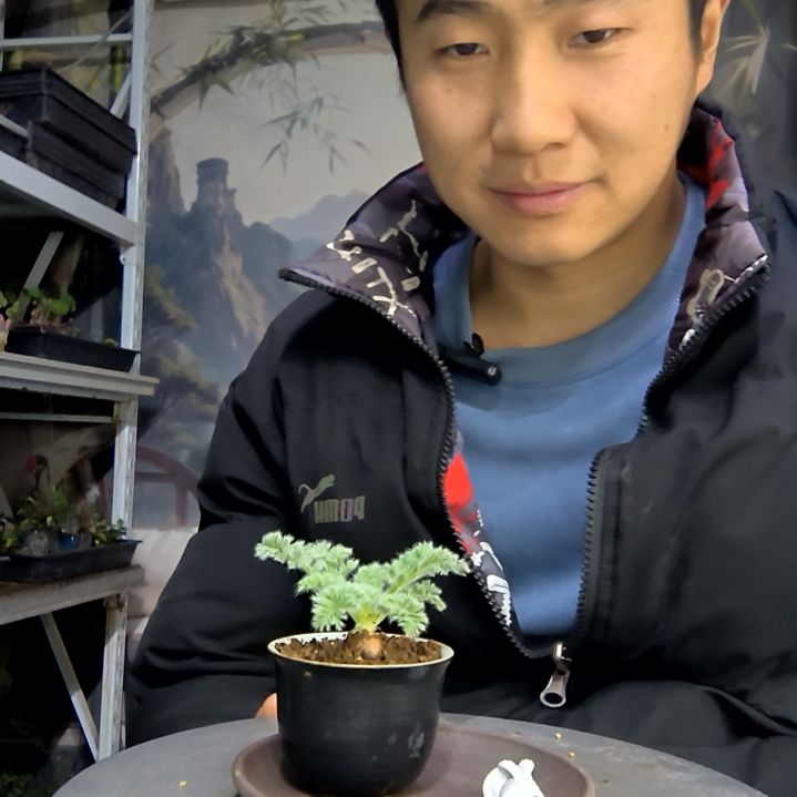 干****吨中青园艺一物一拍花282