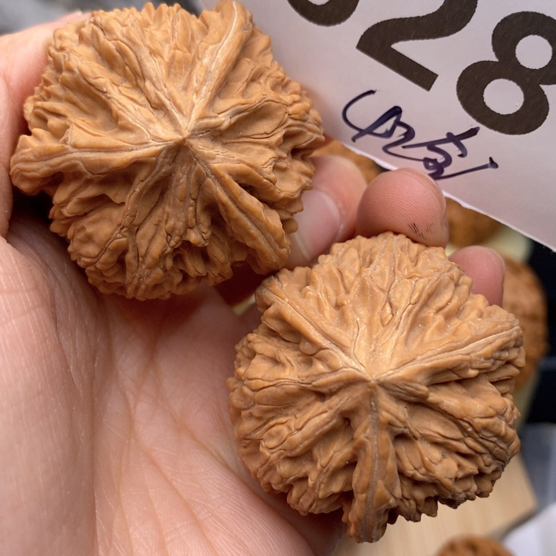 文玩核桃把件628号42全本 球