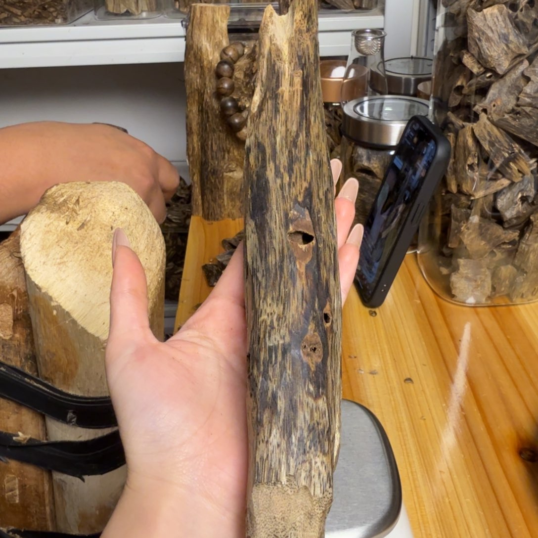 沉香金沙叶虫漏123克