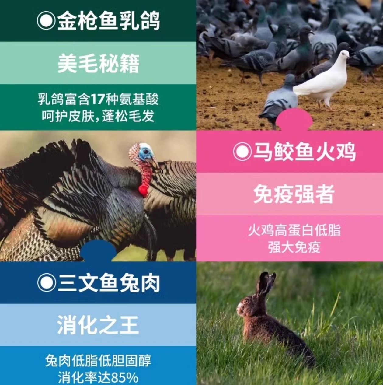 蓝氏蒸鲜猫饭50g