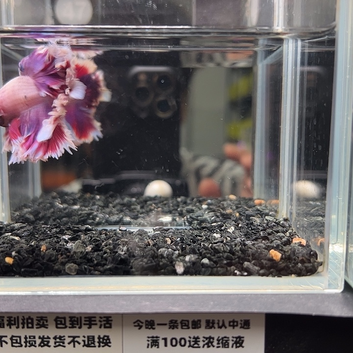 斗鱼跑单拉黑9日47