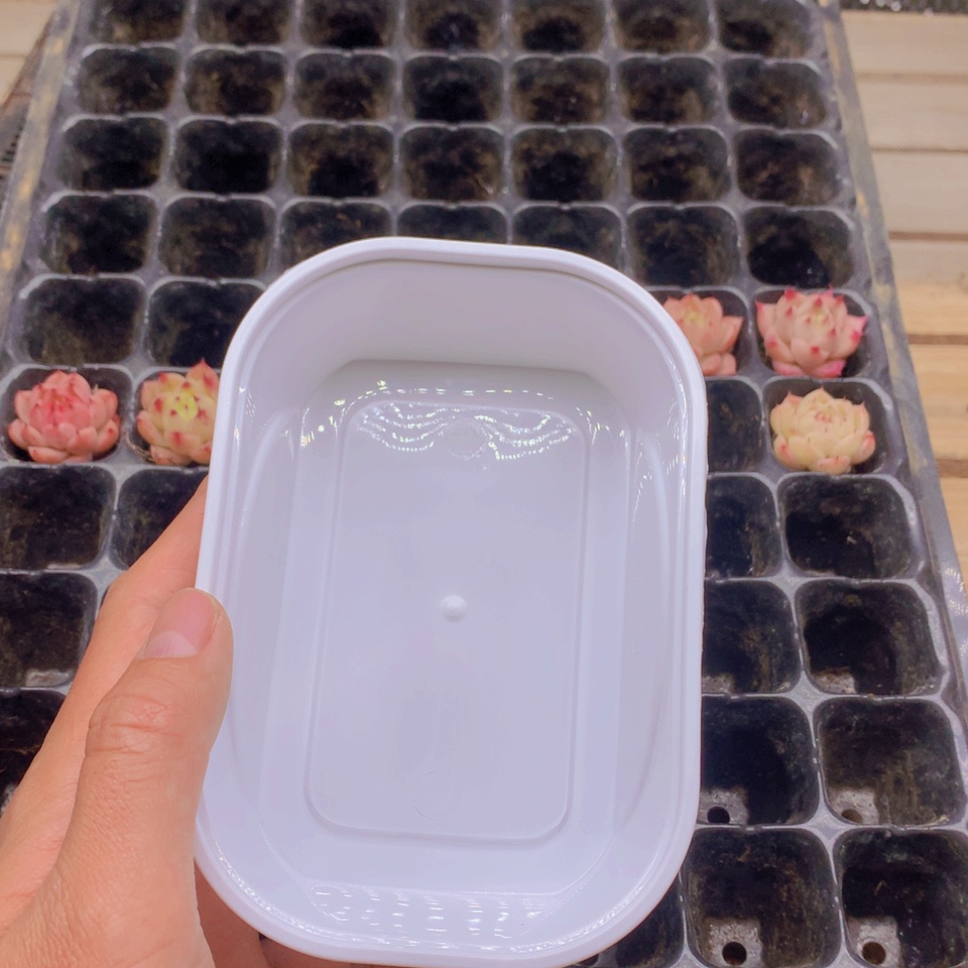 隐***业纯麦秆105孔装036