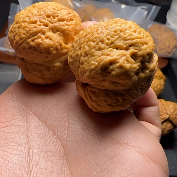 文玩核桃把件40平头蟾祖