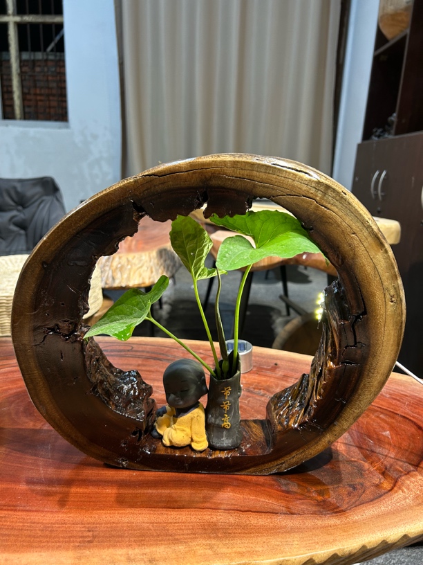 香樟木风化摆件脱骨老料茶室民宿摆件布置手工 DIY 风化摆件