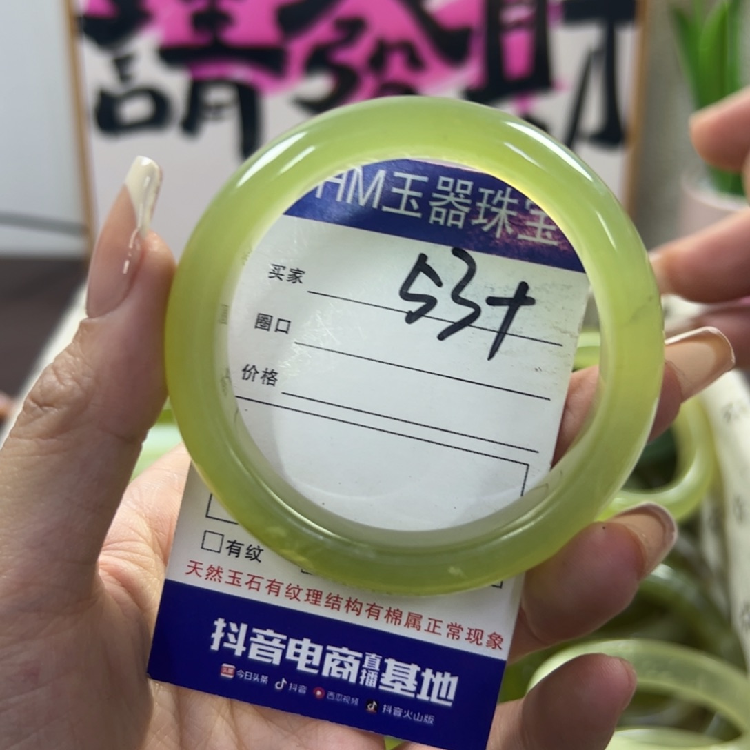 蛇纹石玉手镯未镶嵌304