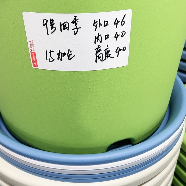 特价9号四季口46高40果绿色2个无托