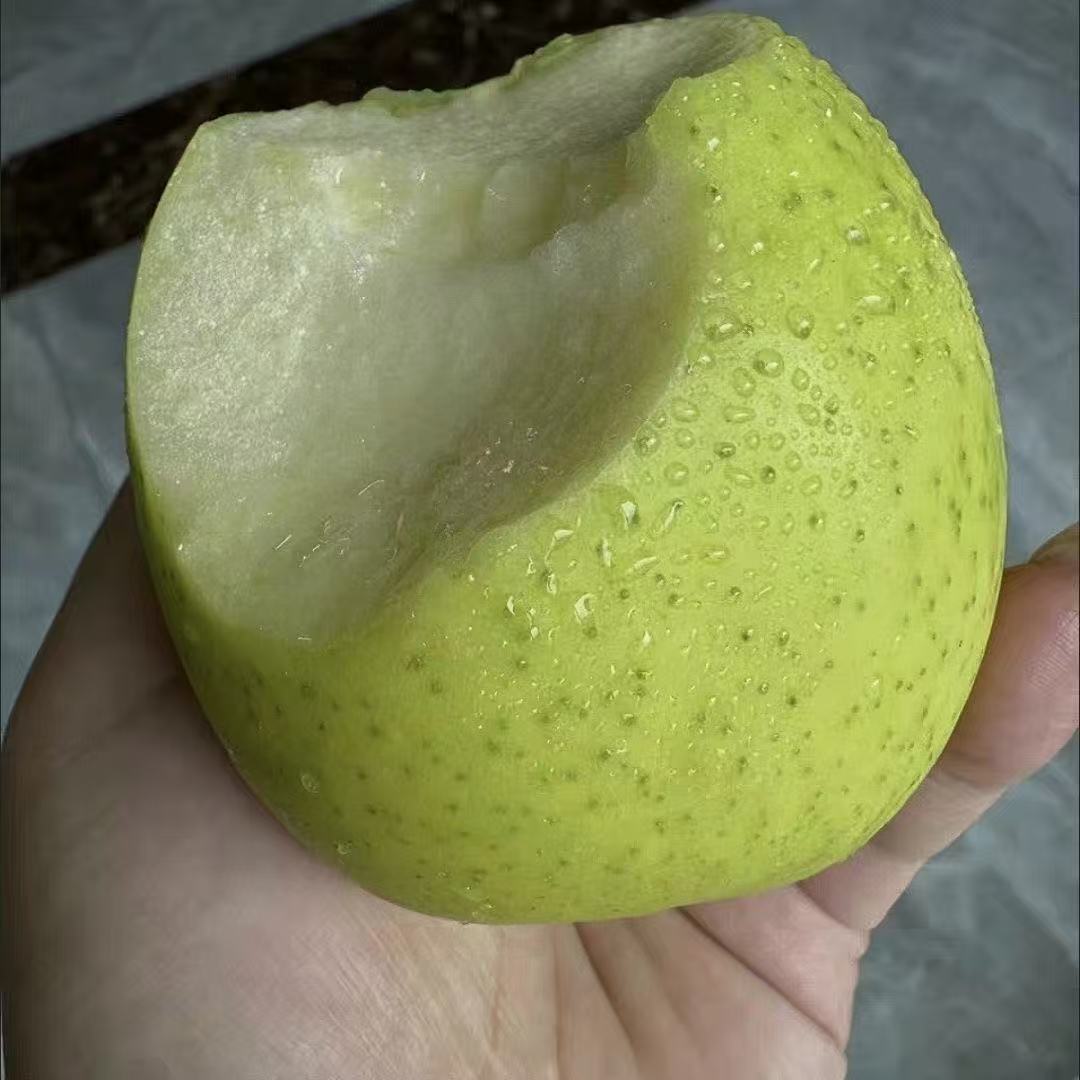 王林苹果现摘现发，脆甜多汁 青皮带香 坏果包赔次日达包邮北京市