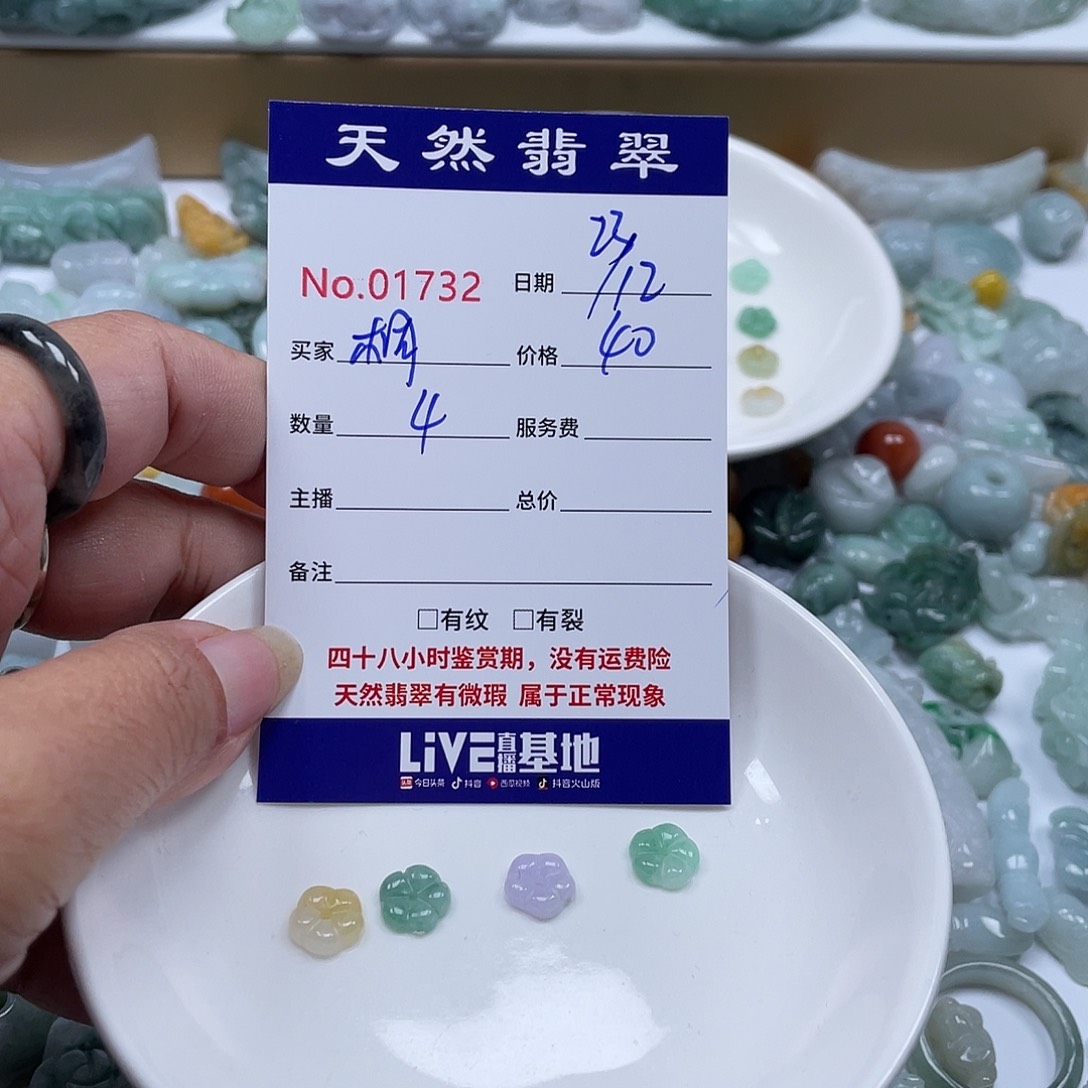 桐***宸翡翠未镶嵌颈饰1475