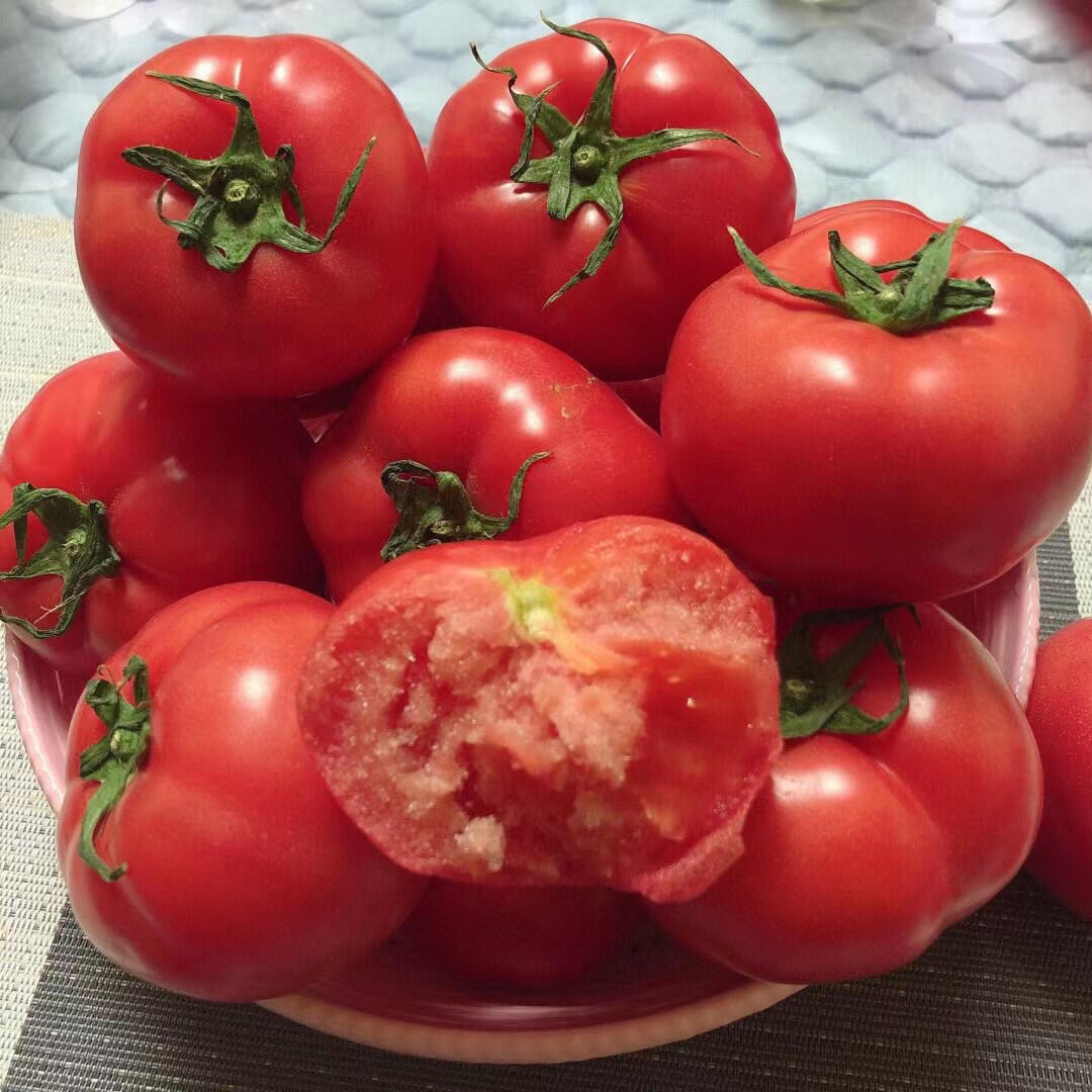 本地自产普罗旺斯西红柿