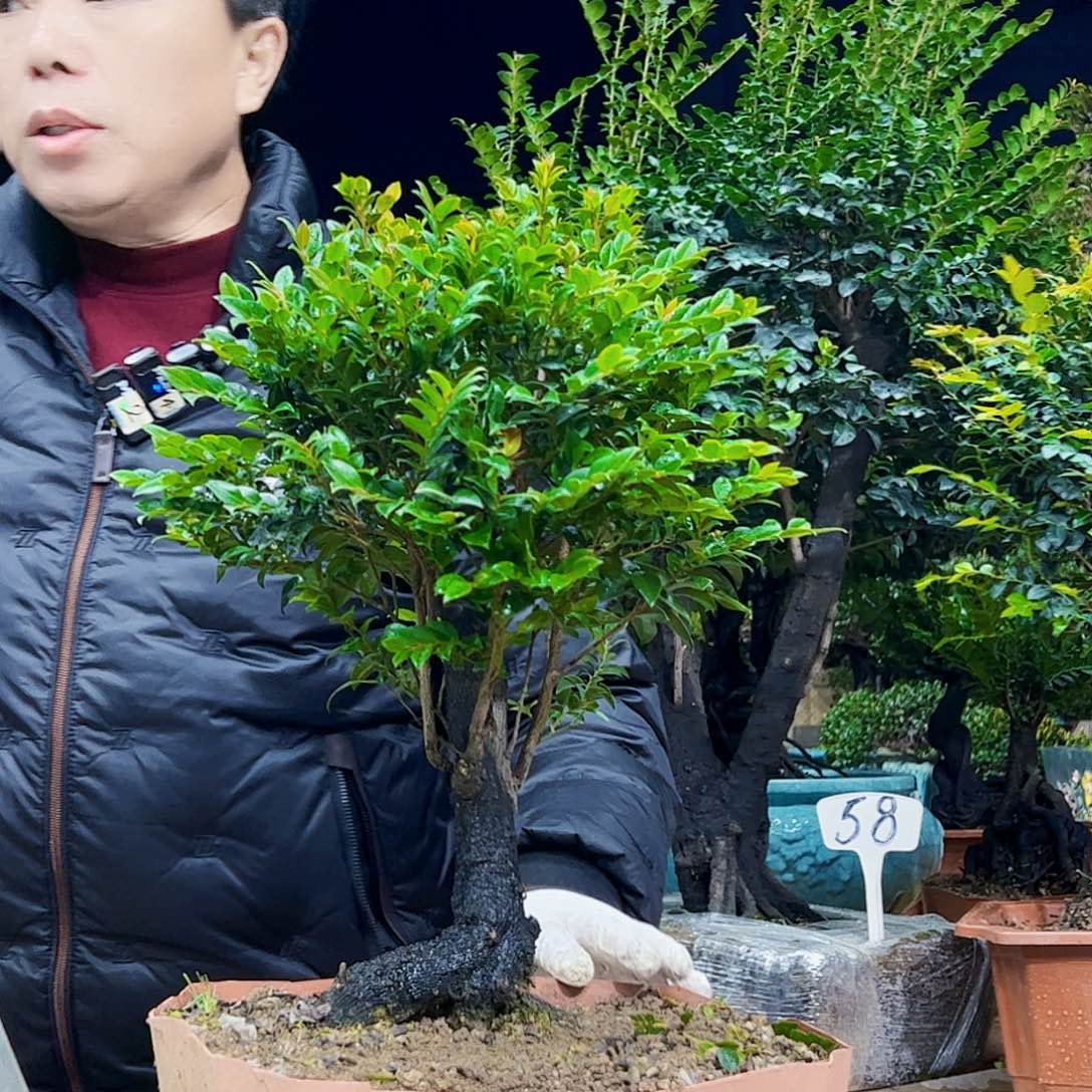 以实际为准用****3113456788