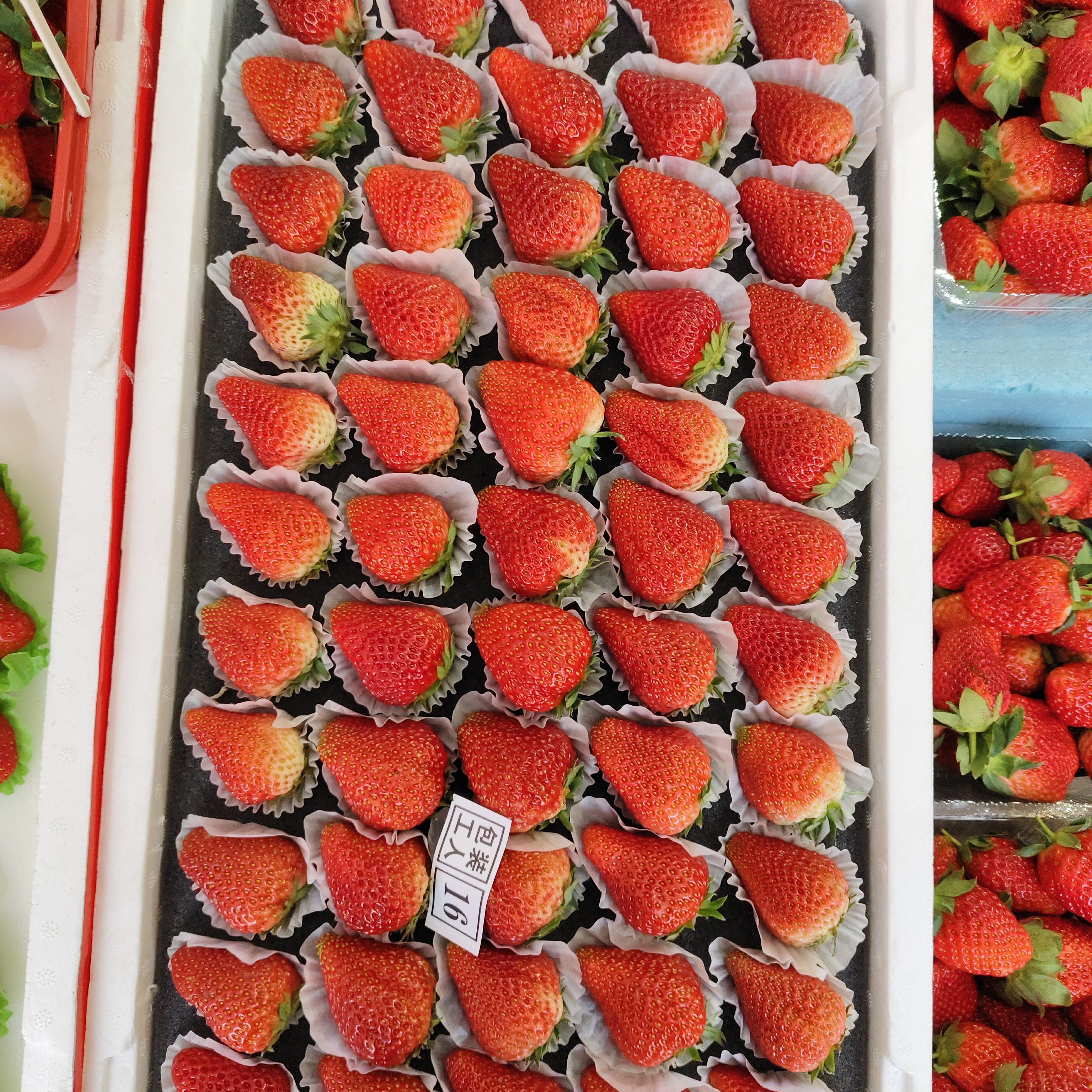 丹东草莓整板 约4斤多点
