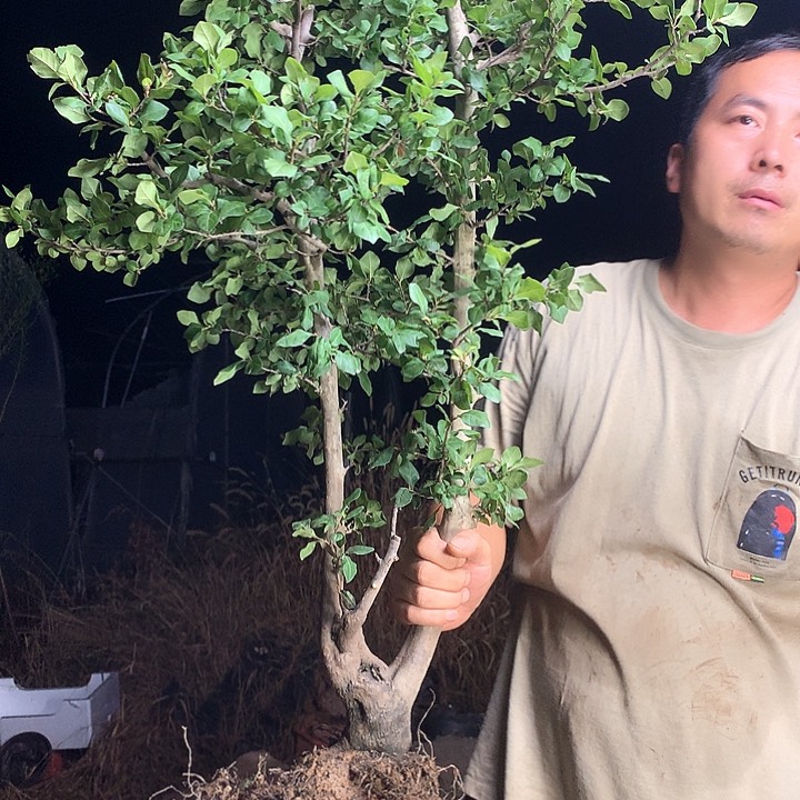 无花朵y*?我不知道我怎么会不高兴呀你是