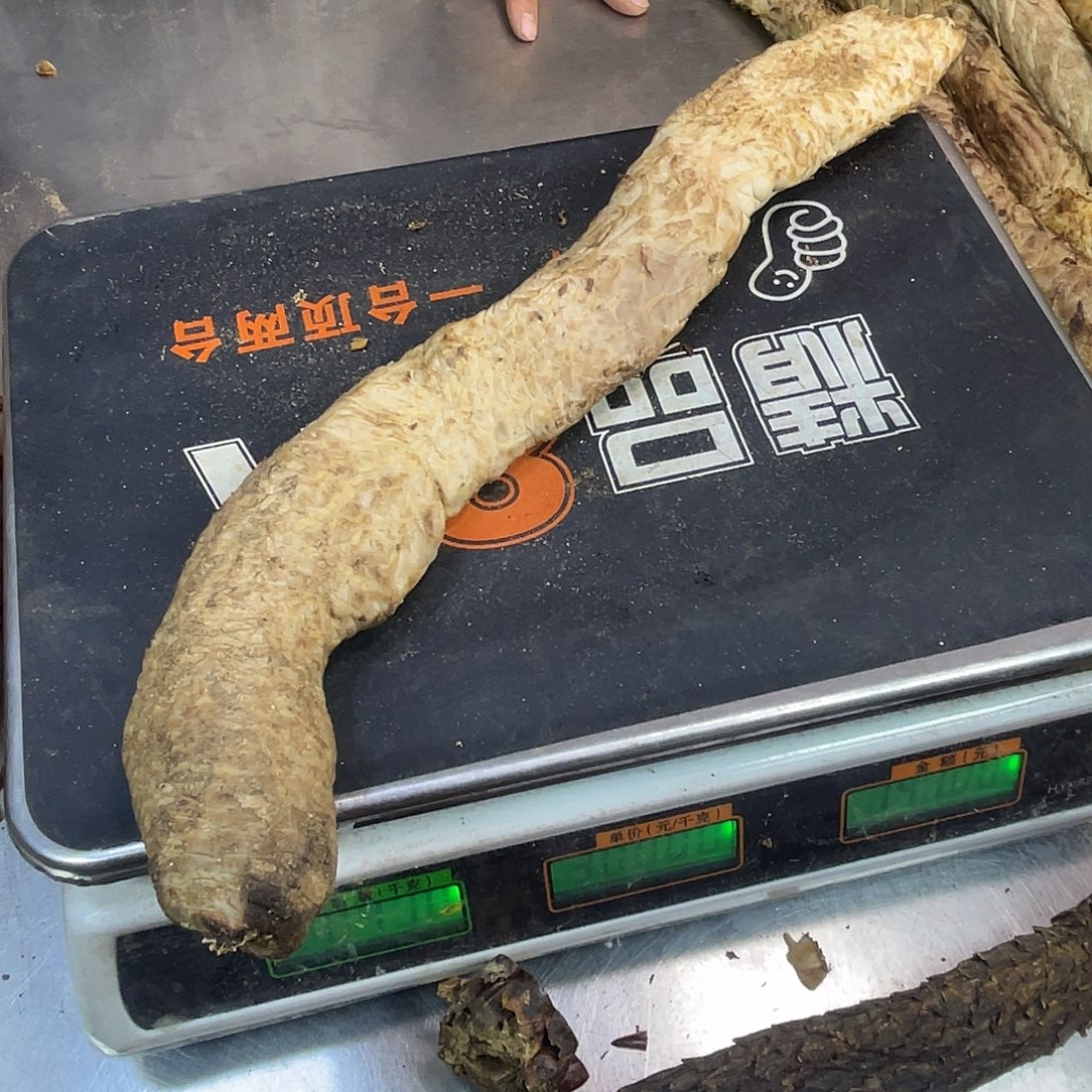 中国大陆470克40厘米