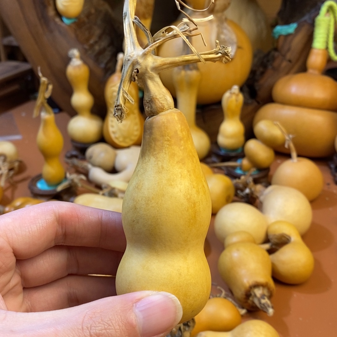 明***雨教练教练教练教练经理