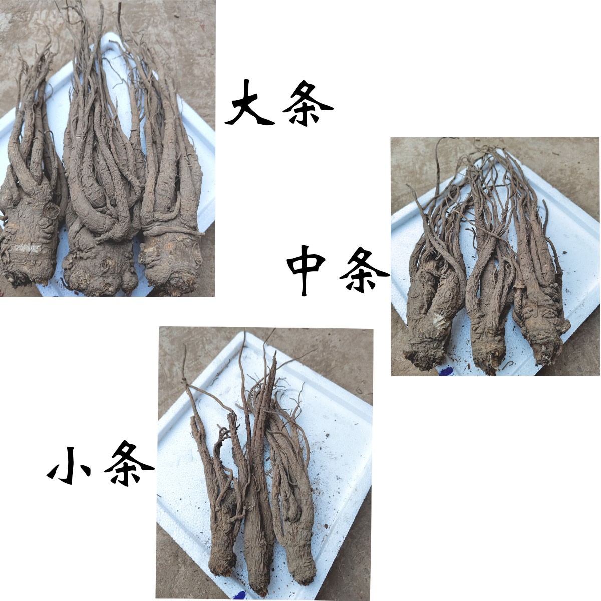 甘肃岷县原产地自然晒干无硫当归滋补干货可煲汤泡酒