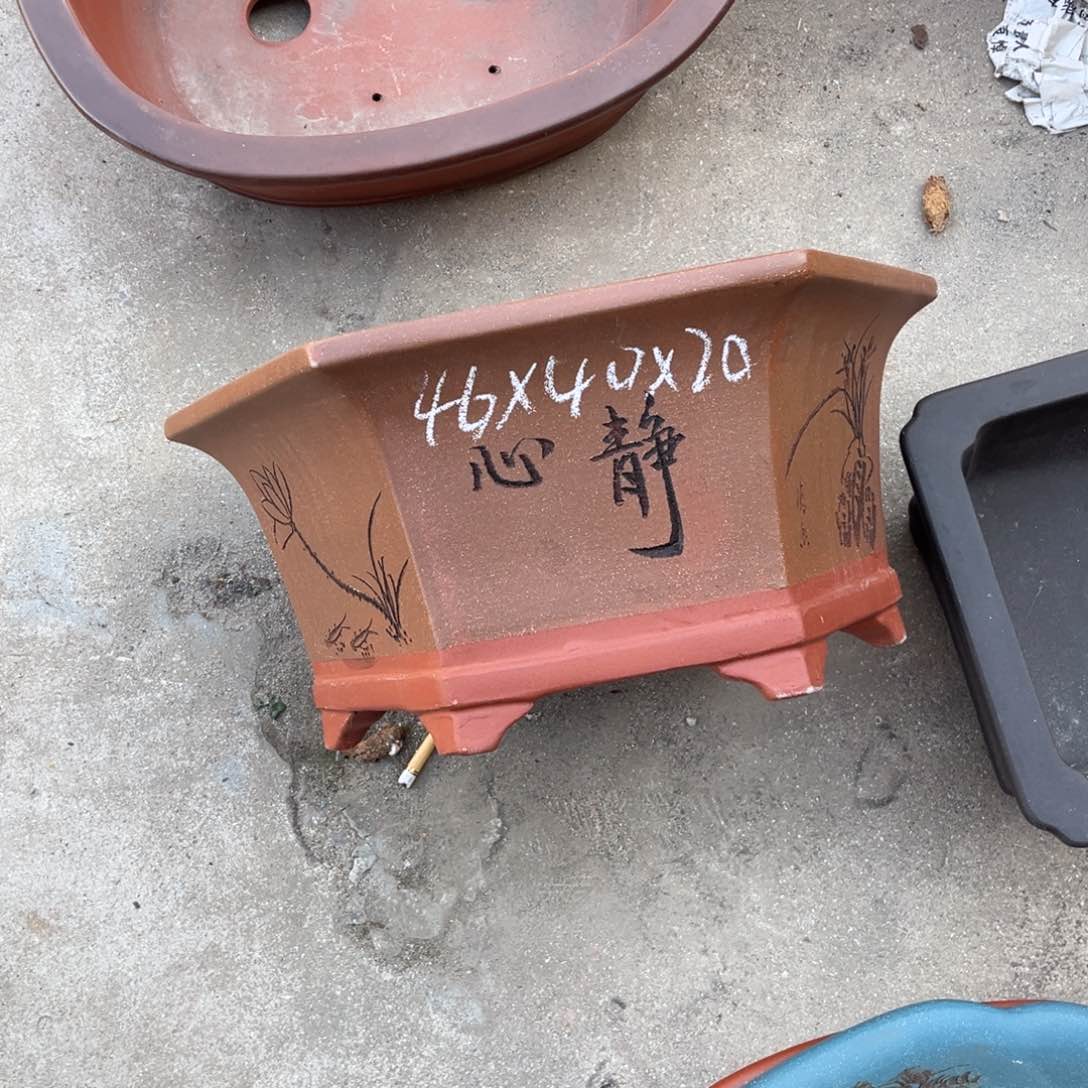 紫砂花盆盆景艺术