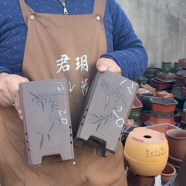 紫砂盆栽花卉盆栽