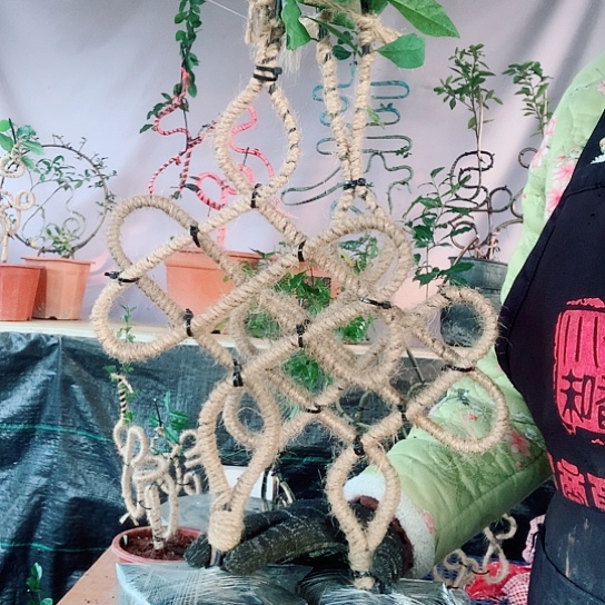 无花朵金弹子中国结