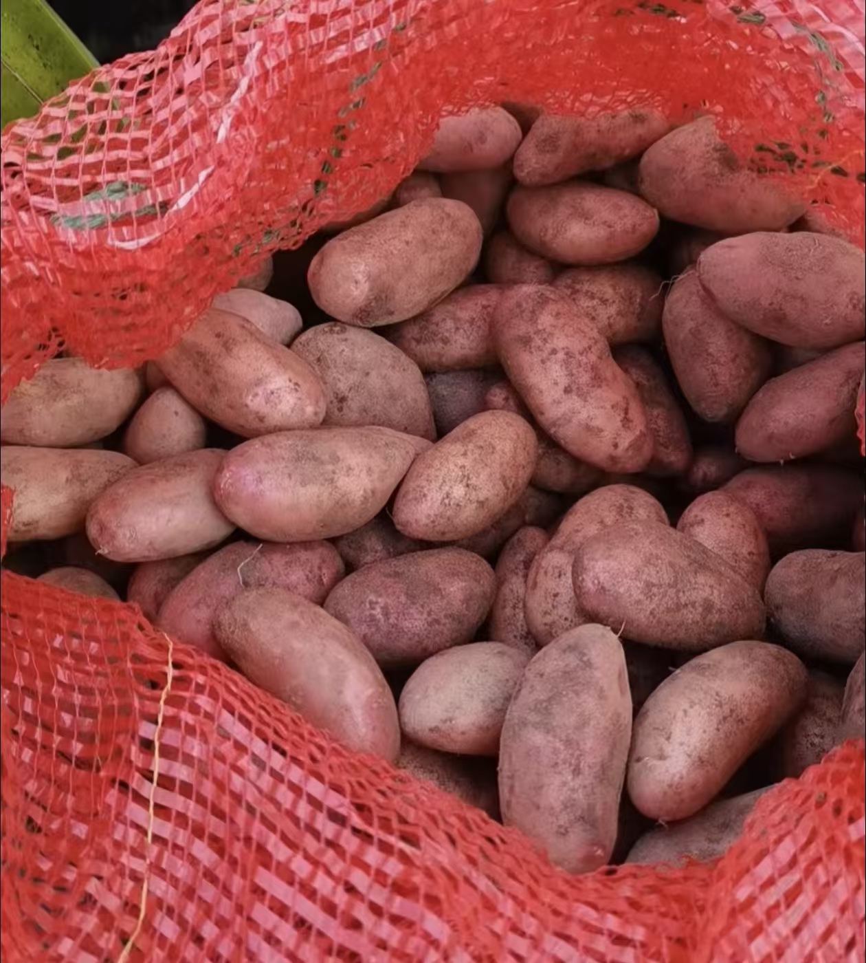 【云南圆圆山货】腰子小土豆